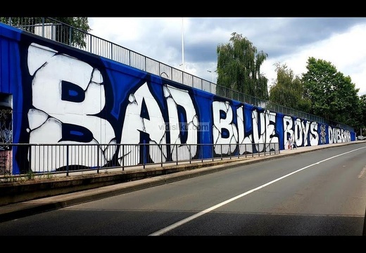 Bad-Blue-Boys