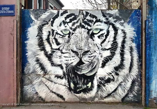 Tigar-mural