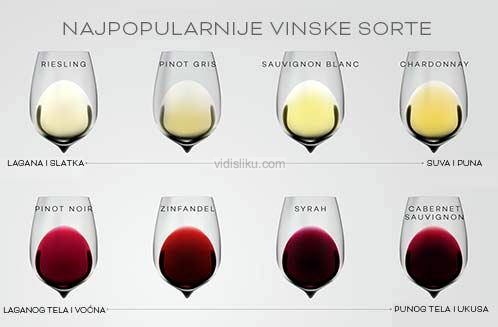 Najpopularnije-sorte-vina.jpg